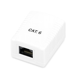 Roseta superficie phasak cat 6 utp