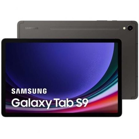 Tablet Samsung Galaxy Tab S9 11"- 12GB- 256GB- Octacore- Grafito