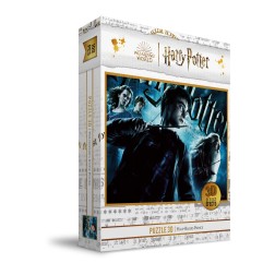 Puzle 100 efecto 3d poster harry