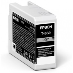 Cartucho tinta epson singlepack light gris