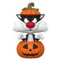 Funko pop looney tunes halloween w