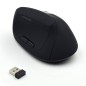 Ewent EW3158 ratón Oficina mano derecha RF inalámbrico 1600 DPI