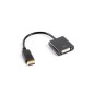 Lanberg AD-0007-BK adaptador de cable de vídeo 0,1 m DisplayPort DVI-D Negro