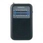 Radio Portátil Daewoo DW1008- Negra