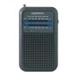 Radio Portátil Daewoo DW1008- Gris