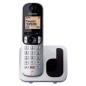 Teléfono Inalámbrico Panasonic KX-TGC250SPS- Plata