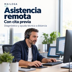 Remote assistance by appointment: diagnosis and technical support
