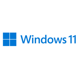 MS WINDOWS 11 PRO 64B DSP