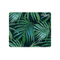 ALFOMBRILLA NATEC PHOTO MODERN ART PALMERA 220X180 MM