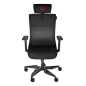 SILLA GAMING GENESIS ASTAT 700 G2 ERGONOMICA GASLIFT 4 120KG NEGRA