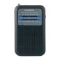 Radio Portátil Daewoo DW1008- Negra