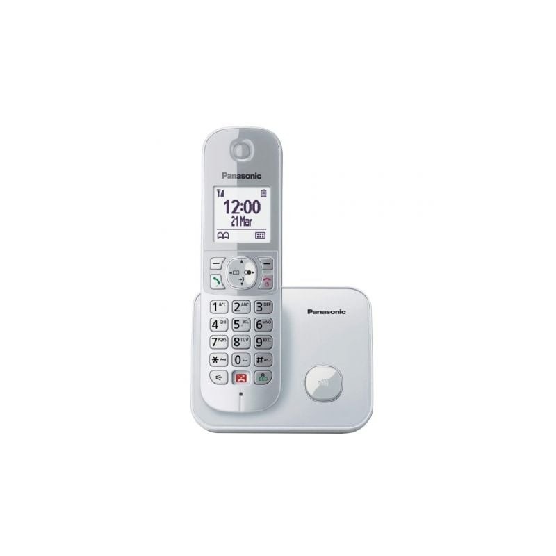 Teléfono Inalámbrico Panasonic KX-TG6851SP- Plata