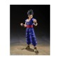 Figura tamashii nations dragon ball ultimate