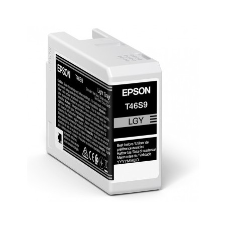 Cartucho tinta epson singlepack light gris