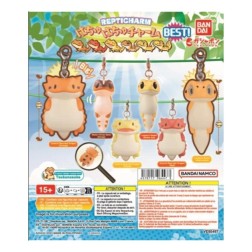 Set gashapon 40 unidades hachuhachu charm