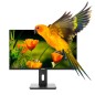 Monitor led 24pulgadas nilox nxm24reg02 va