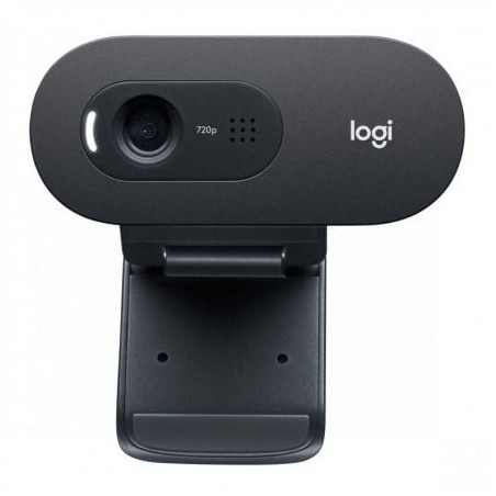 Webcam Logitech C505E- 1280 x 720 HD