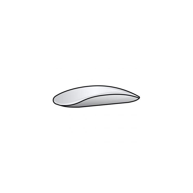 Apple Magic Mouse 2 - USB Tipo-C - Plata