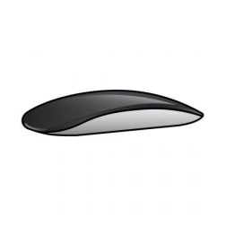 Apple Magic Mouse 2 - USB Tipo-C - Negro