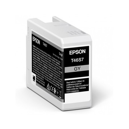 Epson singlepack gray t46s7 ultrachrome pro