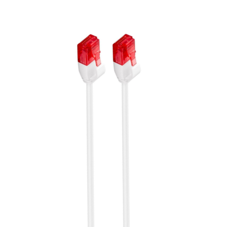 CABLE RED SLIM EWENT CAT6 U-UTP 0,25M BLANCO