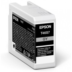 Epson singlepack gray t46s7 ultrachrome pro