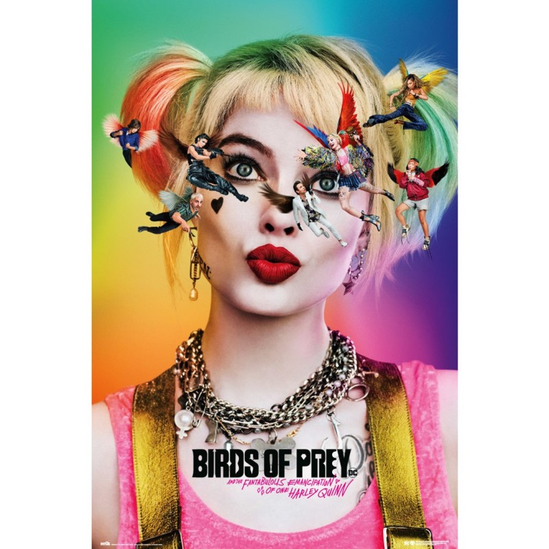 Poster birds of prey dazed and