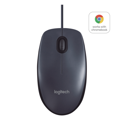 RATON LOGITECH B100 NEGRO USB