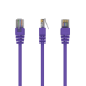 CABLE RED CAT5E GEMBIRD UTP VIOLETA 0,5 M