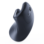 RATON GEMBIRD OPTICO ERGONOMICO 6 BOTONES NEGRO RF INALAMBRICO PILAS