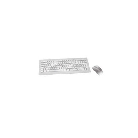 Teclado + raton cherry dw 8000