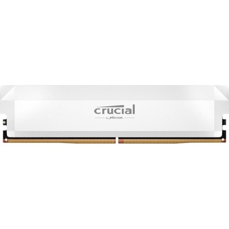 Memoria ram ddr5 16gb crucial pro