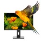 Monitor led 24 pulgadas nilox nxm24reg02 va