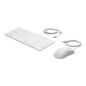 Kit teclado + raton hp healthcare