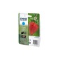 CART-IJ-EPSON T298240 Nº29 CIAN