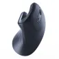 RATON GEMBIRD OPTICO ERGONOMICO 6 BOTONES NEGRO RF INALAMBRICO PILAS