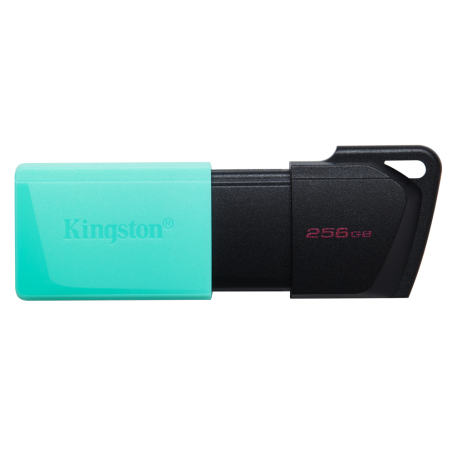 USB 3-2 KINGSTON 256GB DATATRAVELER EXODIA M NEGRO