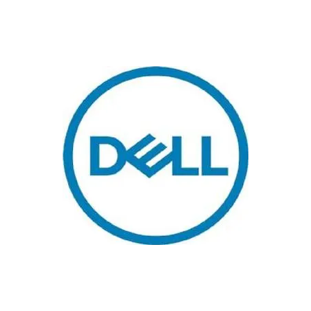 Disco duro interno dell servidor ssd