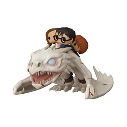 Funko pop harry potter harry ron