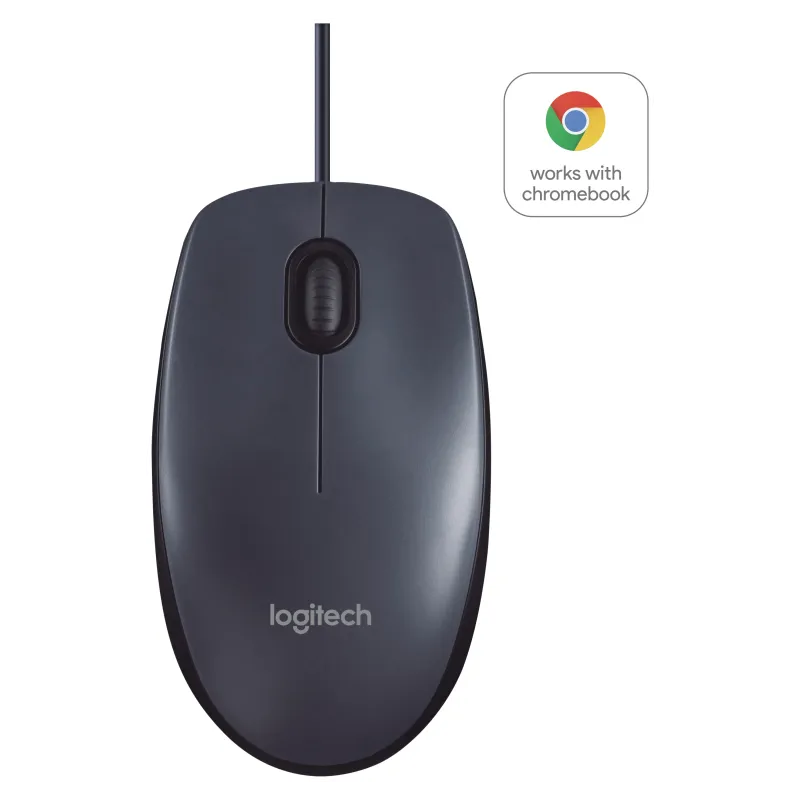 RATON LOGITECH B100 NEGRO USB