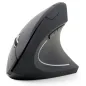 RATON GEMBIRD MUSW-ERGO-01 NEGRO RF INALAMBRICO PILAS RATON GEMBIRD MUSW-ERGO-01 NEGRO RF INALAMBRICO PILAS